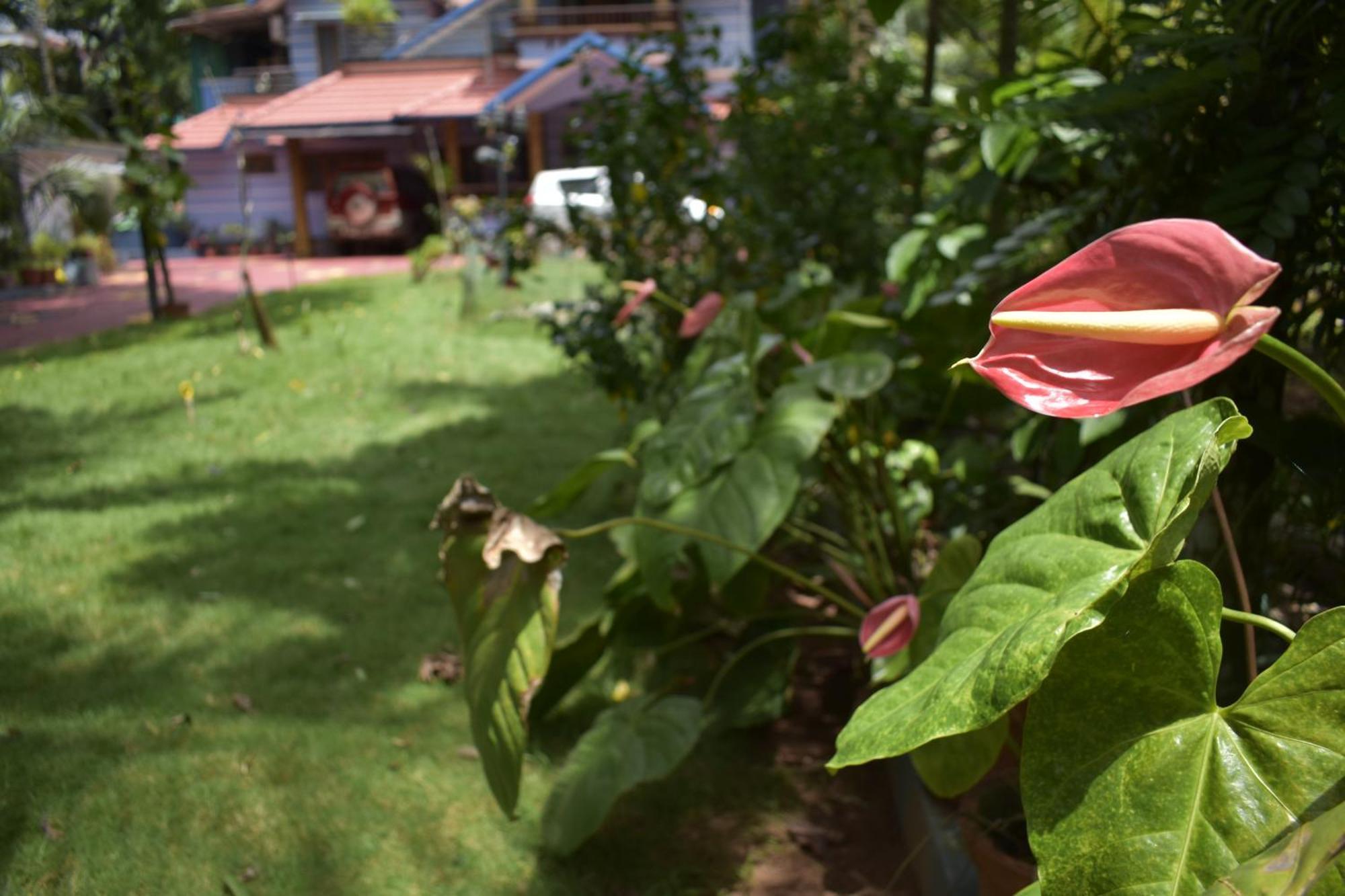 Ben'S Villa Kannur ! Luaran gambar